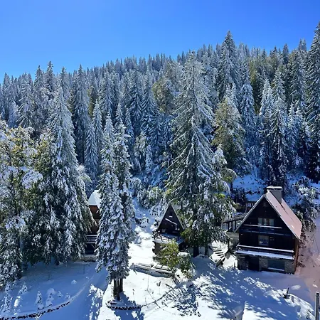 Snowfall Luxury